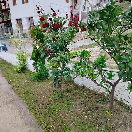 Status Apartamento Nikiti (Sithonia)