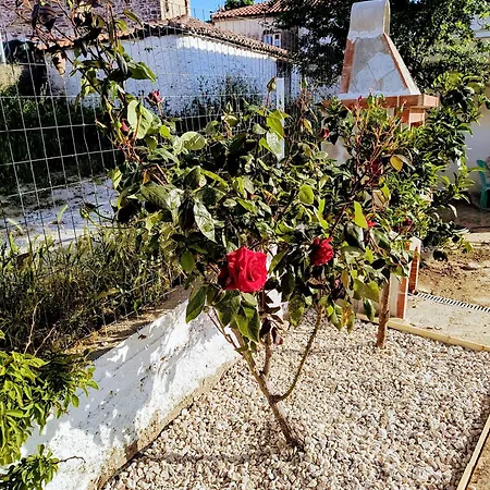 Casa Litharaki Nikiti (Sithonia)