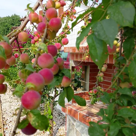 Casa Litharaki * Nikiti (Sithonia)