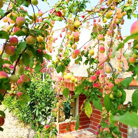 Casa Litharaki Apartment