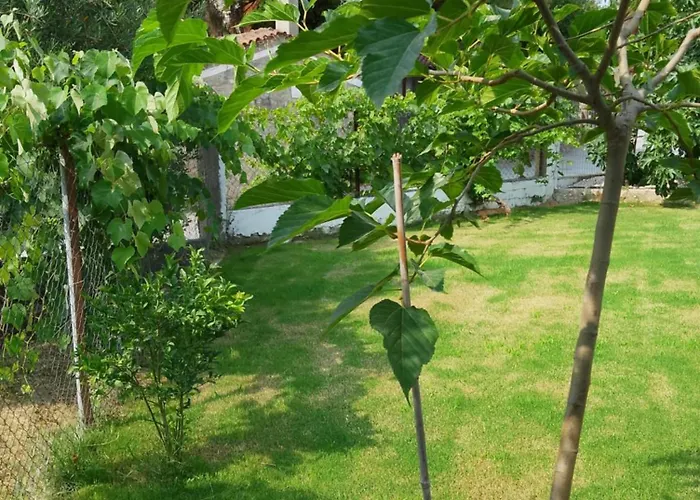 Apartmán Casa Litharaki