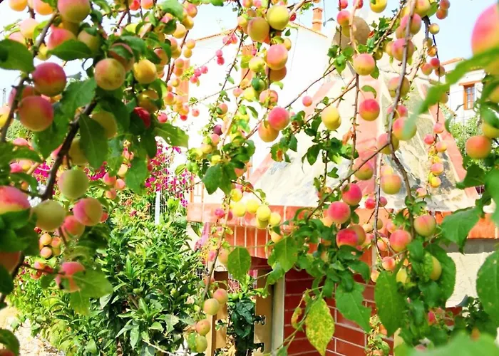 Casa Litharaki Apartmán