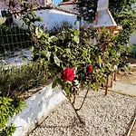 Casa Litharaki Nikiti (Sithonia)