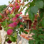 Casa Litharaki * Nikiti (Sithonia)