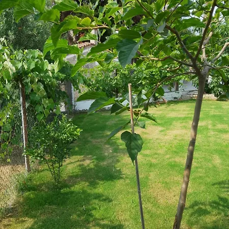 Daire Casa Litharaki